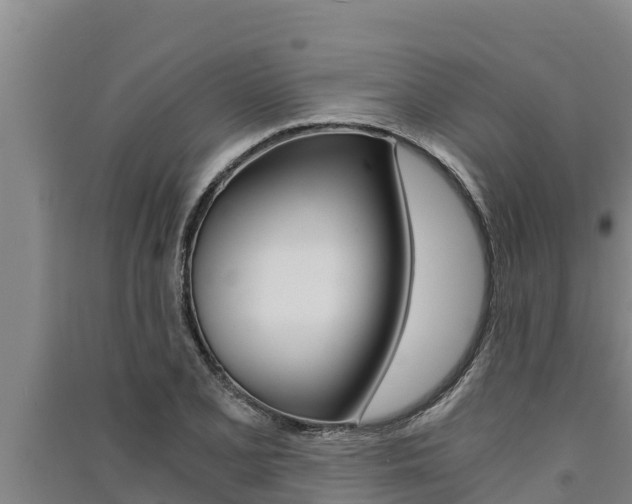 X0000091521077200708171005