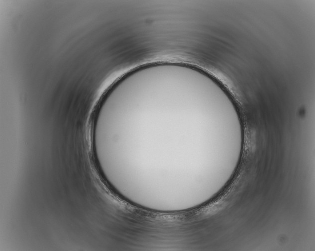 X0000091521078200708171005