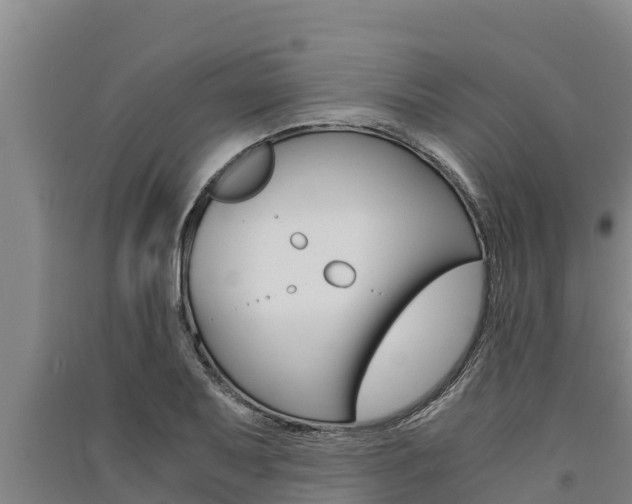 X0000091521079200708171005