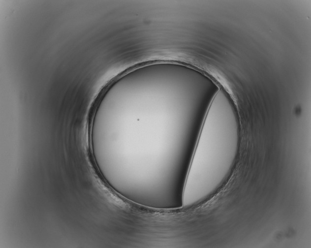 X0000091521080200708171005