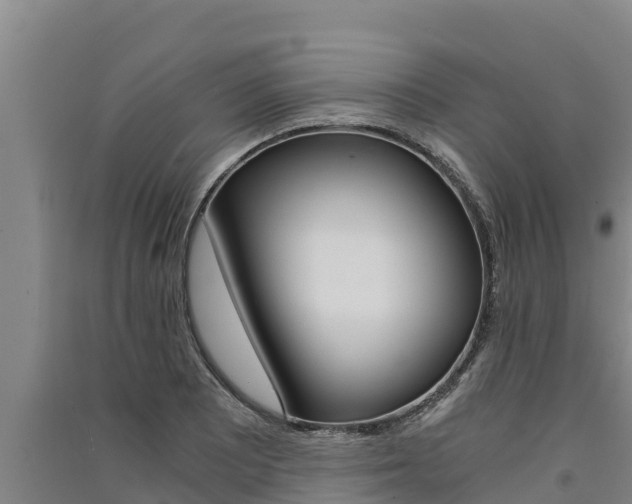 X0000091521081200708171005