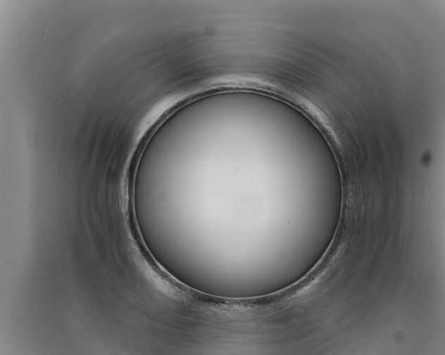 X0000091521082200708171005