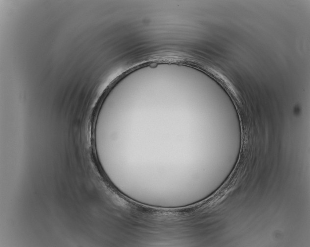 X0000091521083200708171005