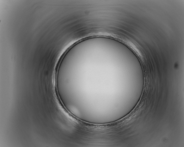 X0000091521084200708171005