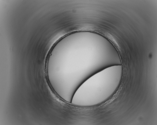 X0000091521087200708171005