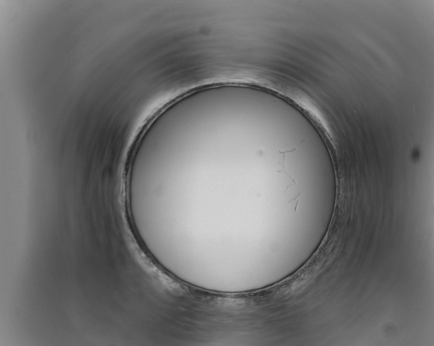 X0000091521088200708171005