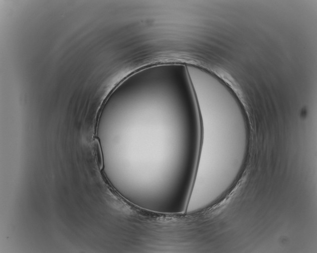 X0000091521089200708171005