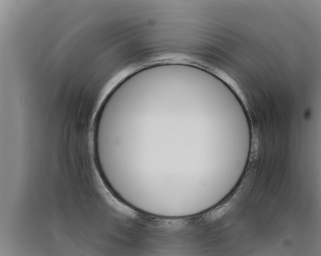 X0000091521090200708171005