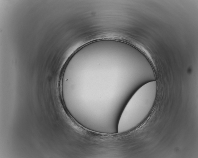 X0000091521091200708171005