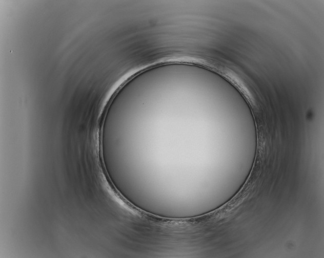 X0000091521092200708171005