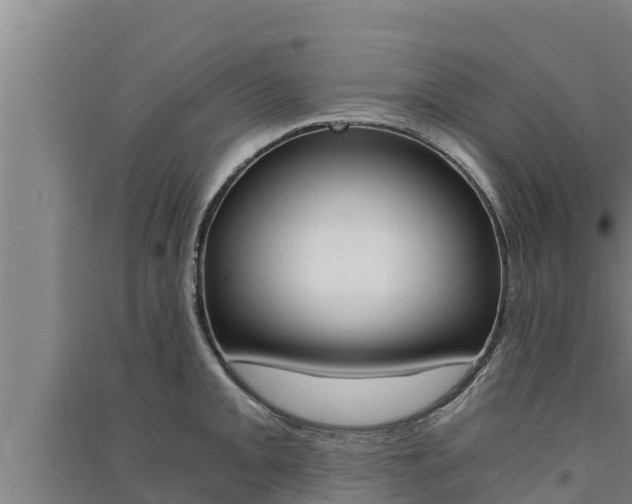 X0000091521093200708171005