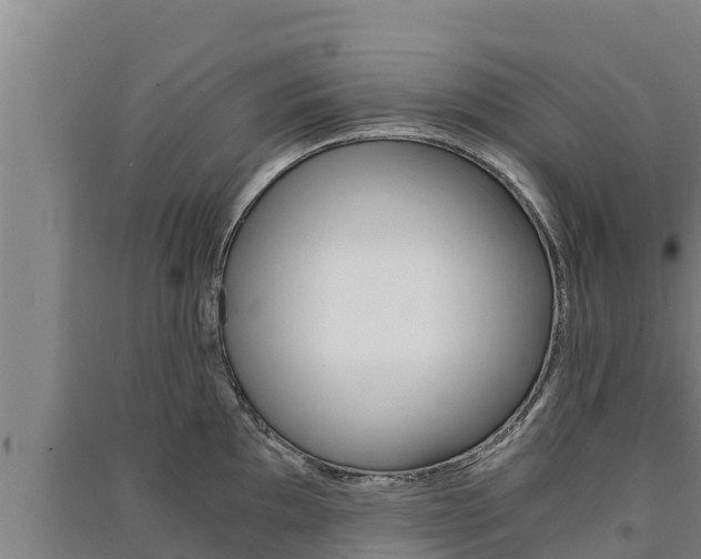 X0000091521097200708171005