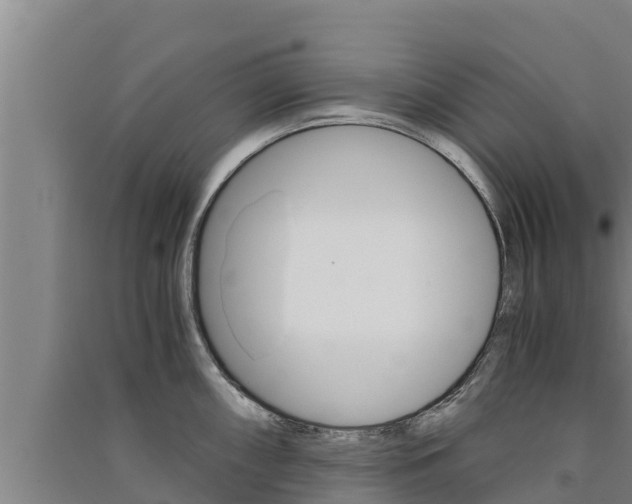 X0000091521098200708171005
