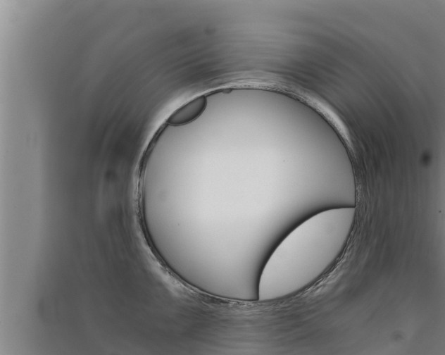 X0000091521099200708171005