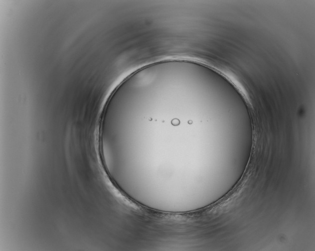 X0000091521100200708171005
