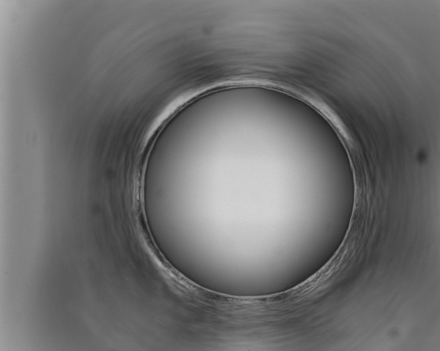 X0000091521101200708171005