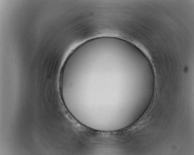 X0000091521104200708171005