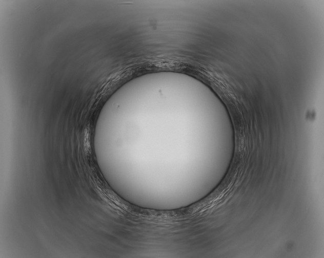 X0000091521106200708171004