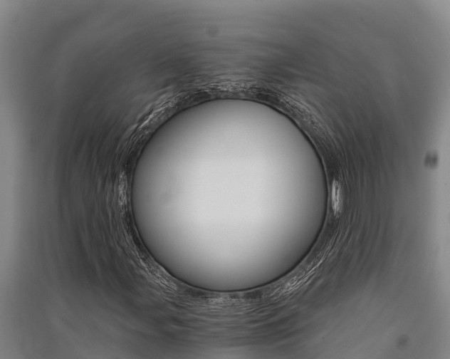 X0000091521107200708171004