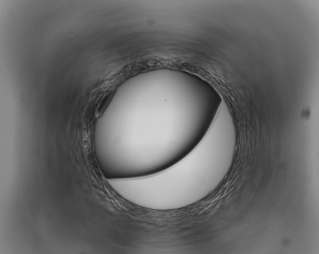 X0000091521109200708171004