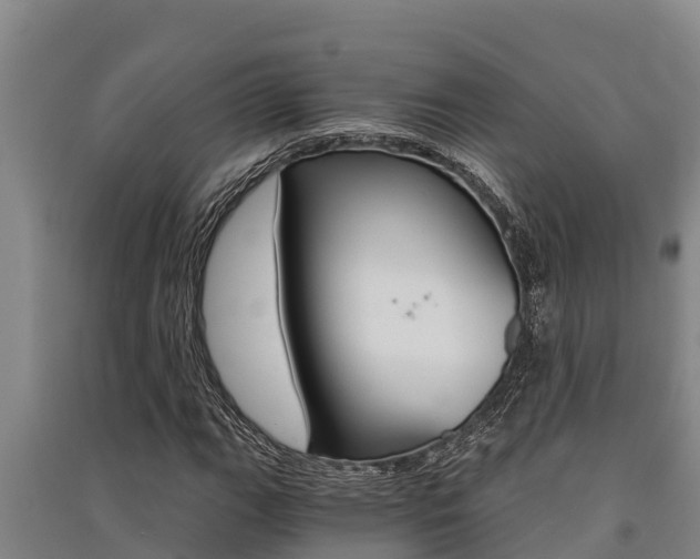 X0000091521111200708171004