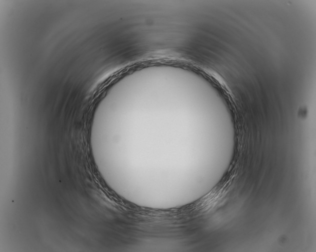 X0000091521112200708171004