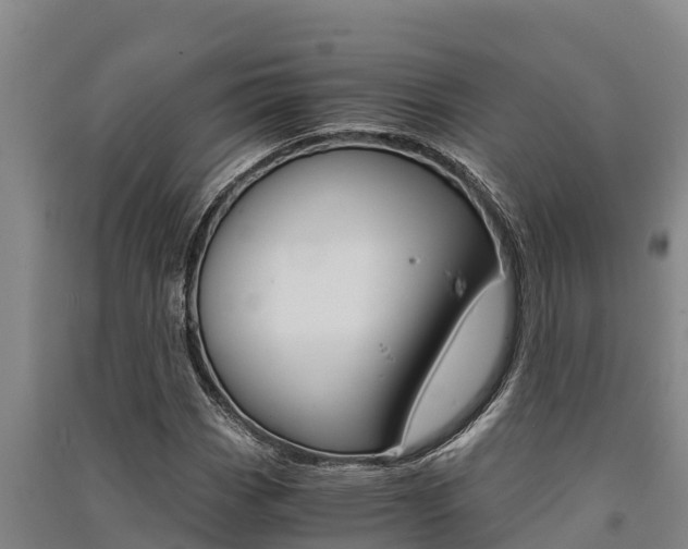 X0000091521113200708171004