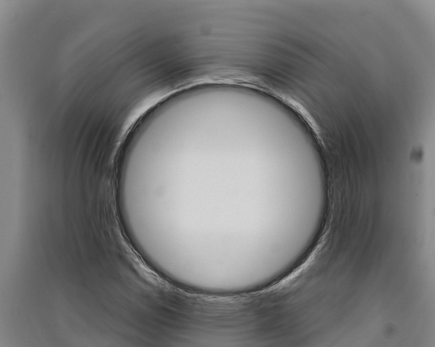 X0000091521114200708171004
