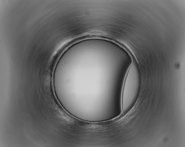 X0000091521115200708171004