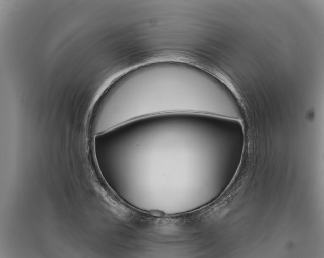 X0000091521116200708171004