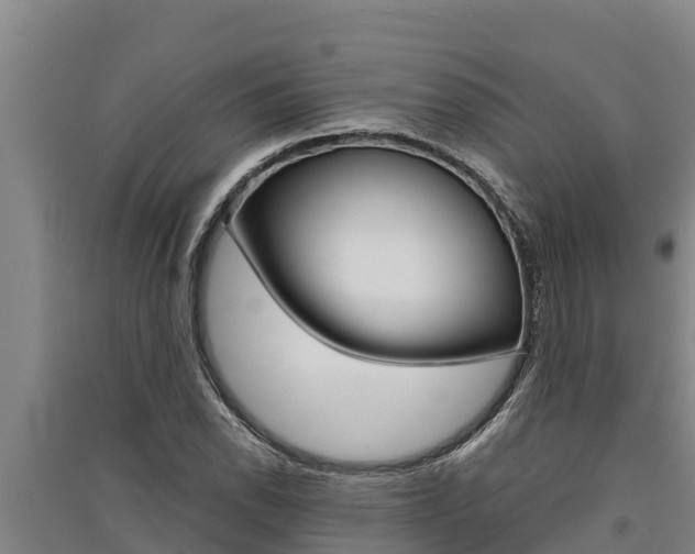 X0000091521118200708171004