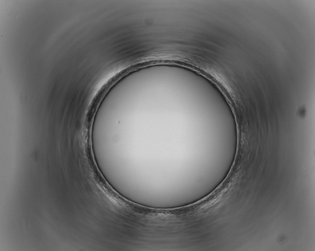 X0000091521119200708171004