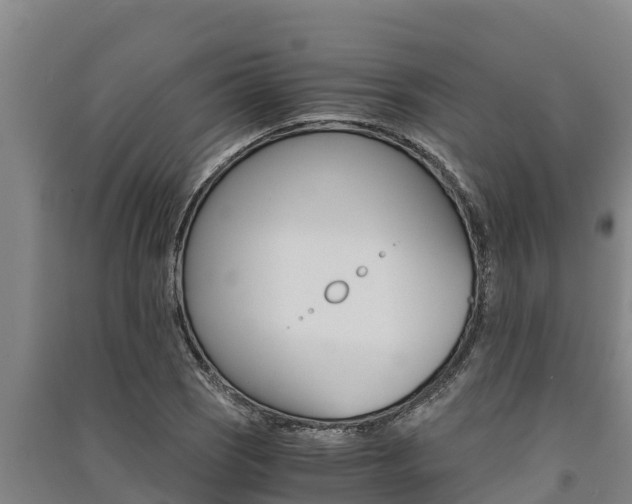 X0000091521121200708171004