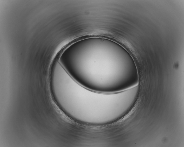 X0000091521122200708171004