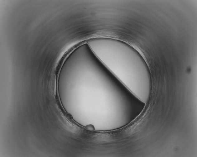 X0000091521123200708171004