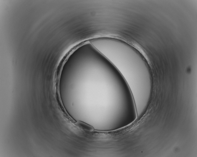 X0000091521124200708171004