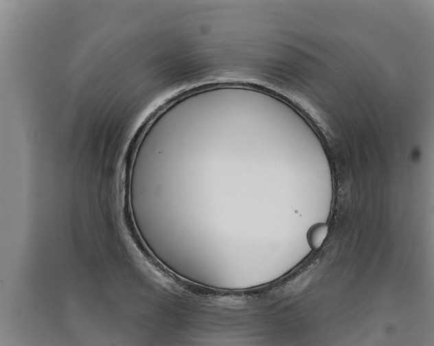 X0000091521126200708171004