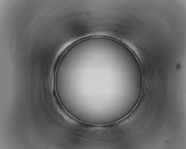 X0000091521127200708171004