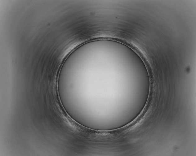 X0000091521129200708171004