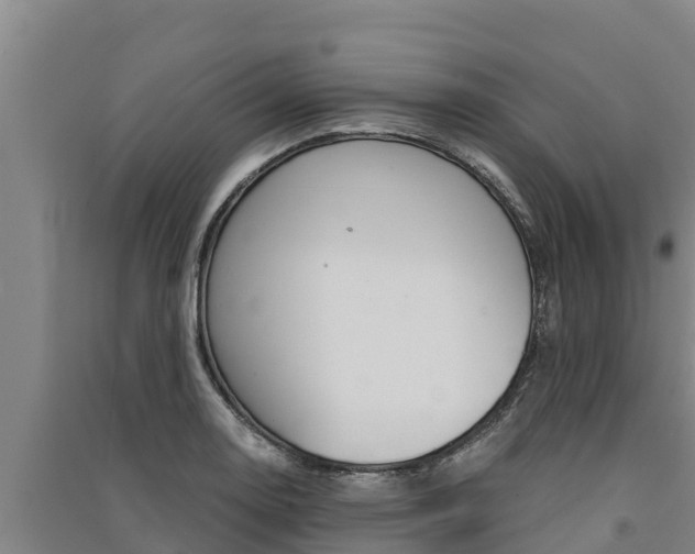 X0000091521130200708171004