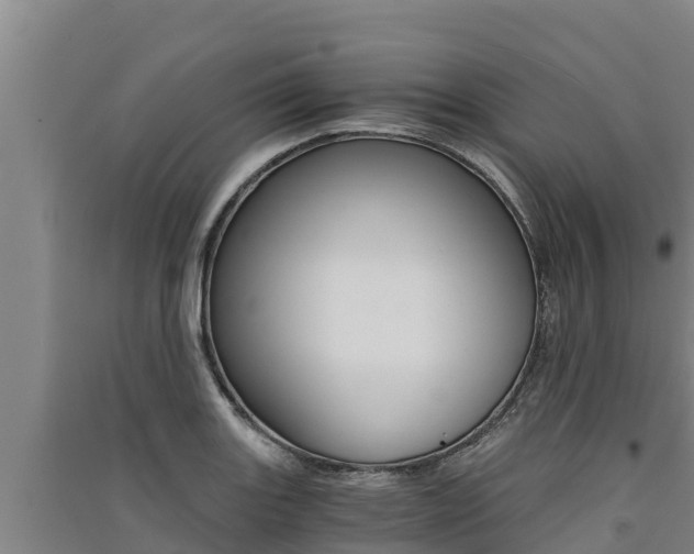 X0000091521131200708171004