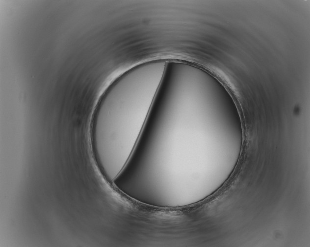 X0000091521133200708171004