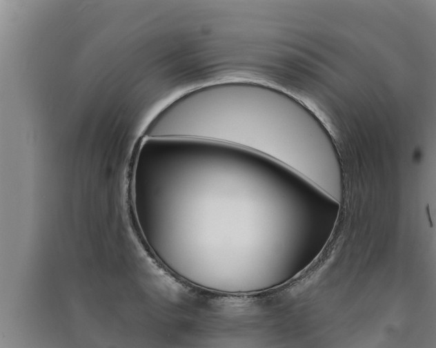 X0000091521134200708171004