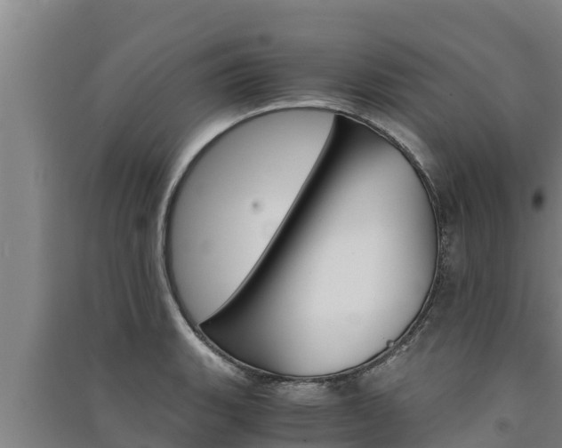X0000091521135200708171004