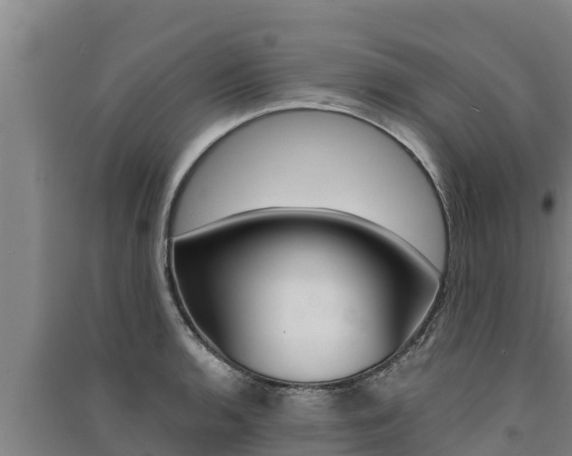 X0000091521136200708171004