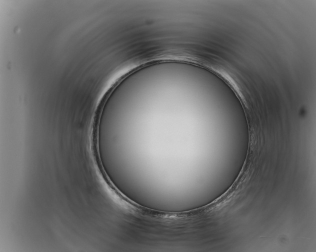 X0000091521139200708171004