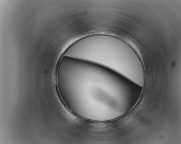 X0000091521141200708171004
