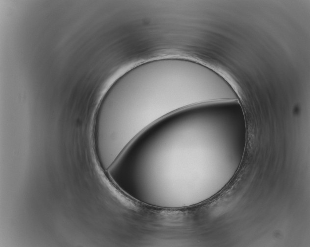 X0000091521142200708171005