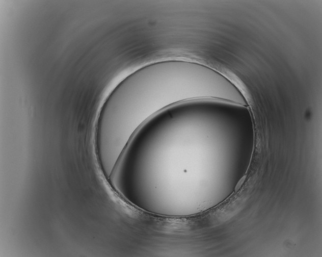 X0000091521144200708171005
