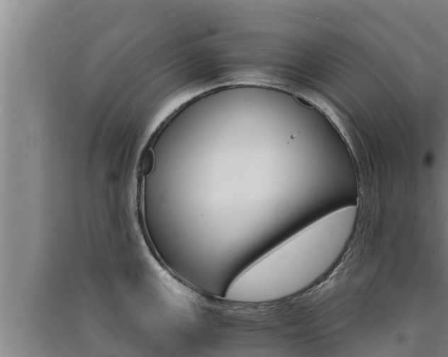 X0000091521147200708171005